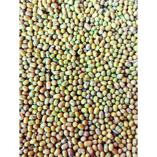 HUNGERS HUNGERS MOONGDAAL product image