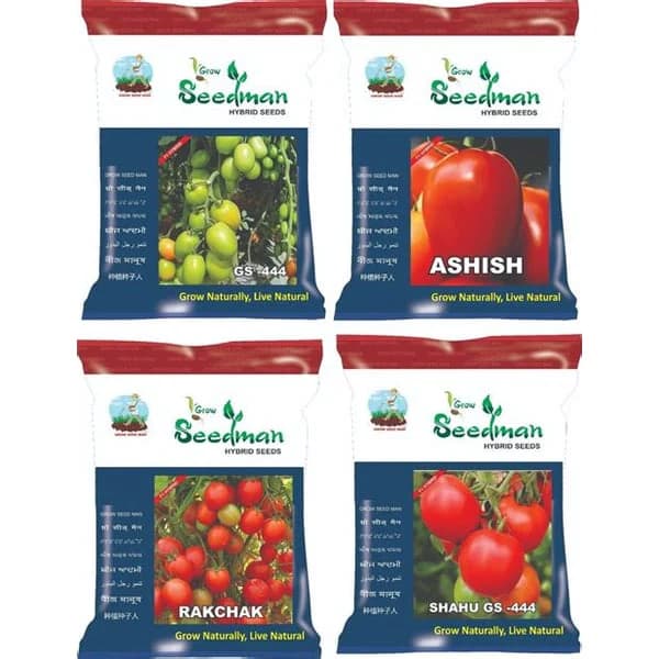 TOMATO TOMATO product image