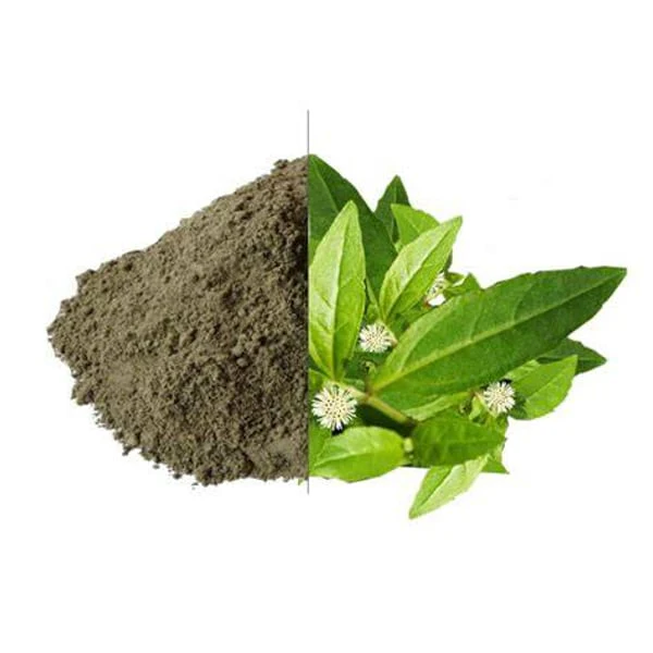 KANTA KANTA BHRINGRAJ POWDER 25GM product image